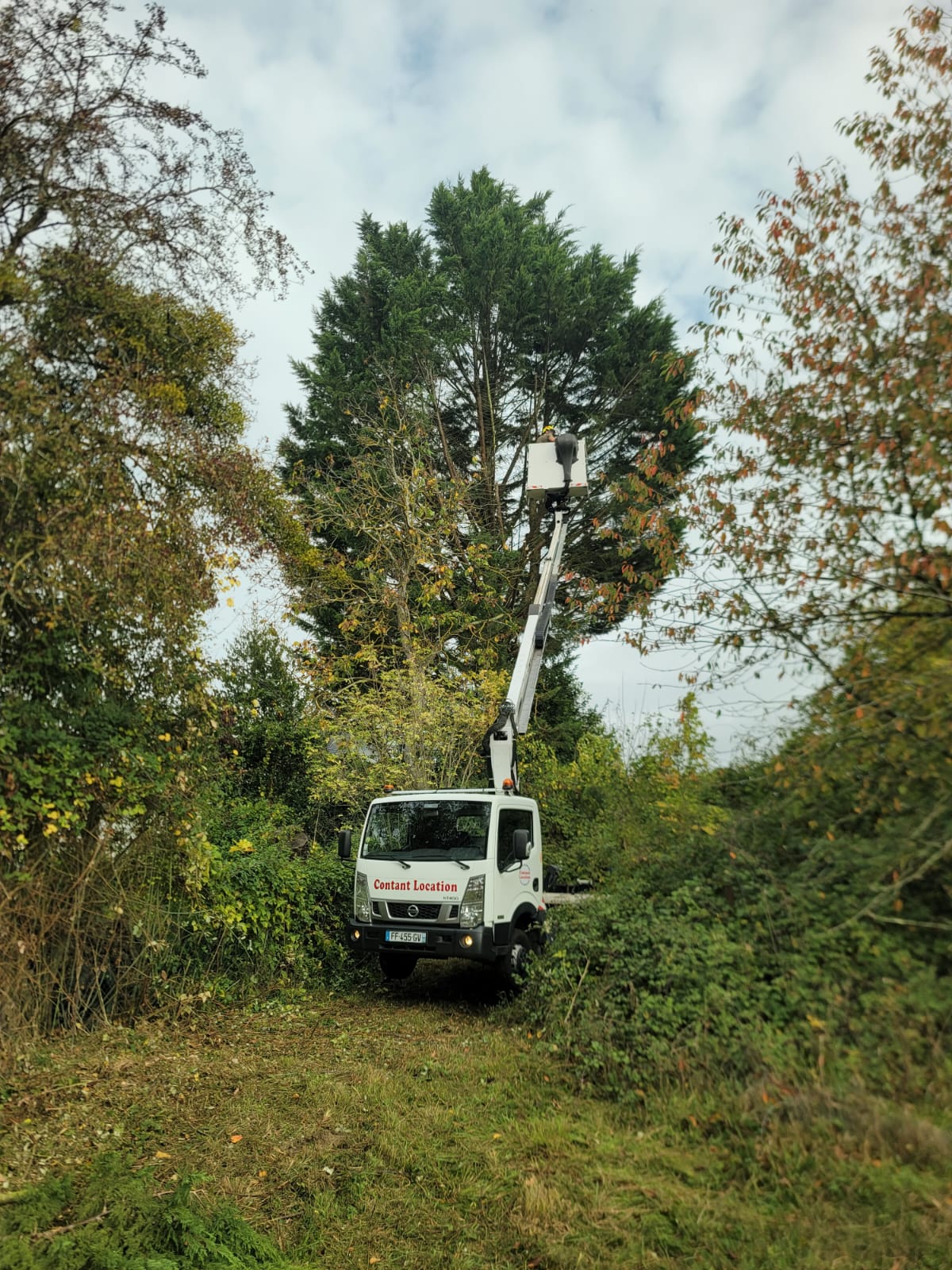 Élagage abattage Vernon - camion nacelle Longuet Paysage