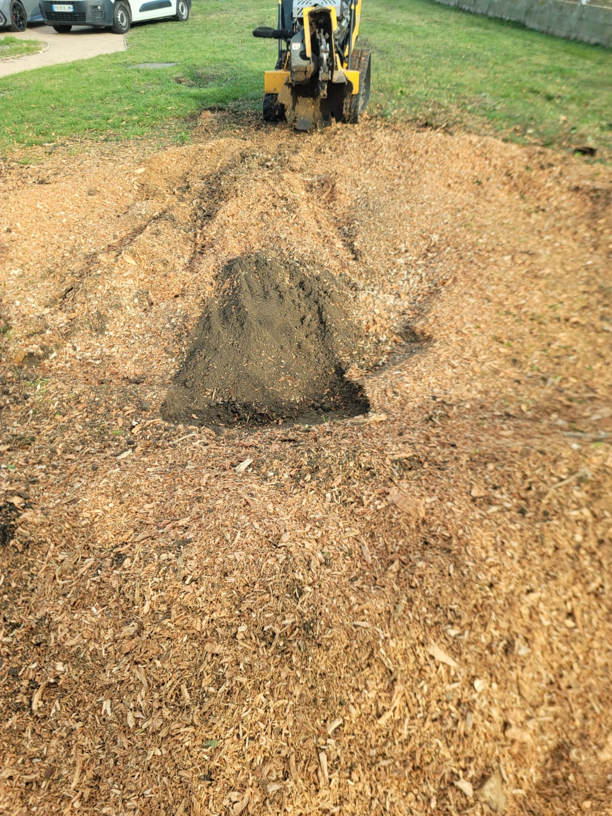 Machine d elagage produisant des copeaux de bois sur une pelouse pour entretien paysager