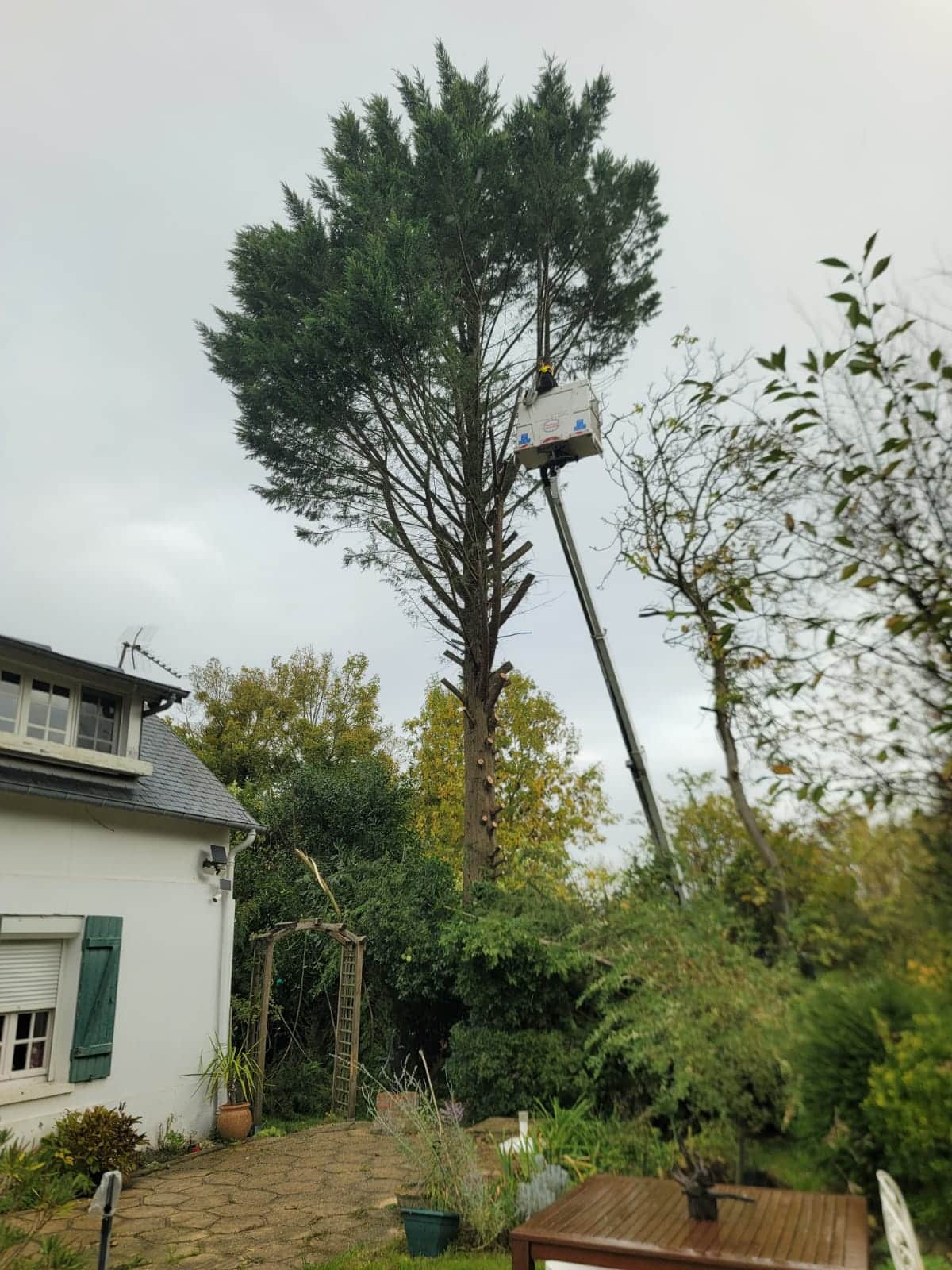 Élagage en nacelle par paysagiste Vernon Longuet Paysage