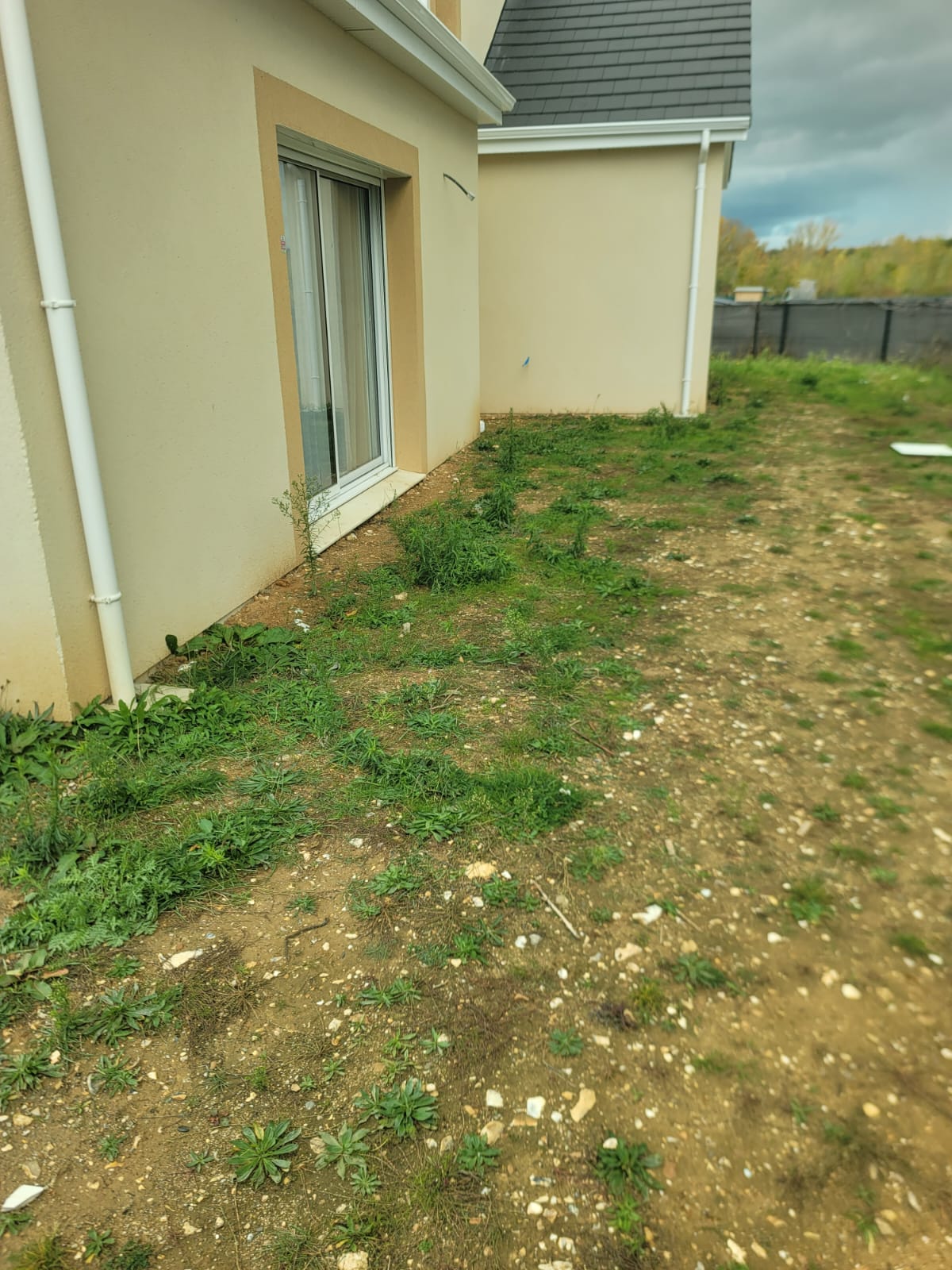 Terrain nu avec mauvaises herbes devant maison beige et fenetre coulissante en exterieur