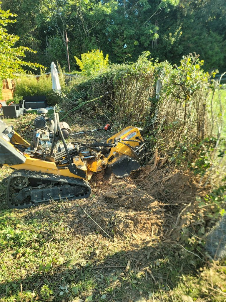 Nettoyage de haie et broyage à SAINT-PIERRE-LA-GARENNE
